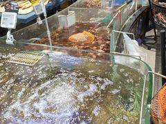-盒马鲜生(悠方店)