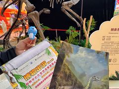 -鹏欣水游城