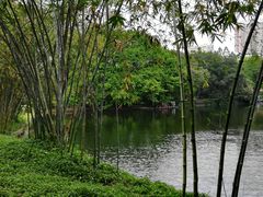 -晓港公园