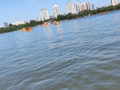 -天津水上公园