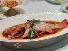 -巴音浩日娲酒楼(双林东路店)