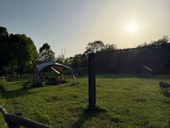 -白鹭湾湿地公园