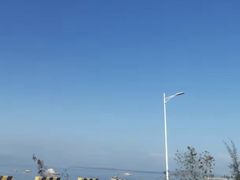 -汕尾风车岛