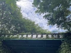 -华侨城湿地公园