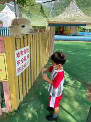 -萌宠亲子动物乐园(槐房万达店)