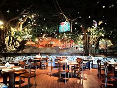 -杭州开元森泊度假乐园