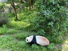 -黔灵山公园