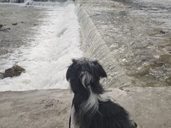 -绿堤公园