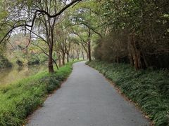 -日照海滨国家森林公园