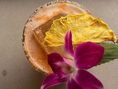 -Hi City·城市之巅