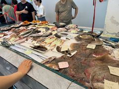 -魚當家