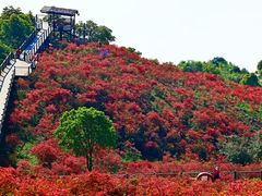 -瑞安圣井山景区