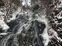 -望天鹅景区