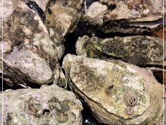 -烧蠔帮·生蚝海鲜牌档(观海店)