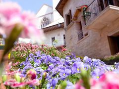 -华谊兄弟（长沙）电影小镇