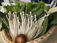 -原味主张椰子鸡·脆皮文昌鸡煲(友谊广场店)