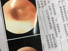 -ventus spa 沙巴亚庇正宗精油按摩会所