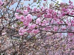 -盈香心动乐园