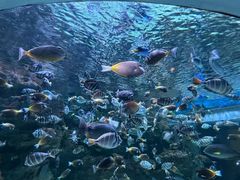 -海合安成都极地海洋公园