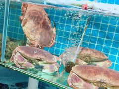 -87号烧烤海鲜·大排档(金沙滩店)