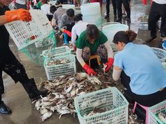 -吕四渔港码头海鲜餐厅