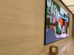 -Apple零售店(玄武湖店)