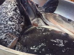 -老农民柴火灶鲜鱼馆