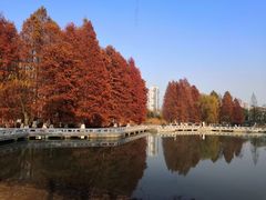 -白塘生态植物园