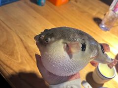 -永安鱼庄·镇江菜(丁卯店)