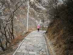 -大岭沟猕猴桃谷风景区