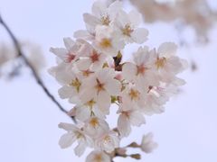 -阳澄湖费尔蒙酒店