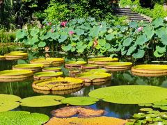 -国家植物园南园