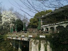 -闻莺馆(柳浪闻莺店)