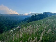 -灵山