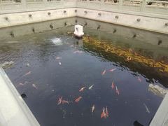 -太平禅寺