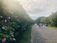 -上海海湾国家森林公园