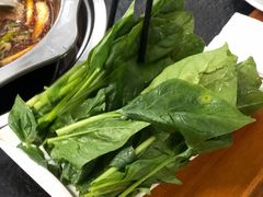 -新乡杨记红焖羊肉火锅(天坛南门店)