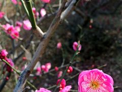 -北京鹫峰国家森林公园