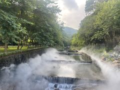 -广州白江湖森林公园