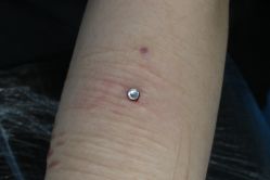 -众刺纹画·纹身·穿孔饰品·海娜定制