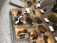 -OUR Bakery(SKP-S店)