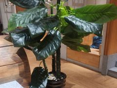 -鑫涛温泉汗蒸时代