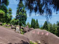 -玉苍山国家森林公园