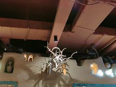-驿楼兰·新疆菜(火车站店)