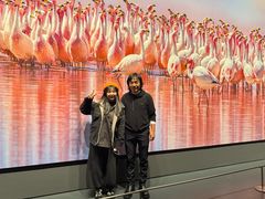 -罗红摄影艺术馆