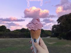 草莓-Dooley's Premium Ice Cream