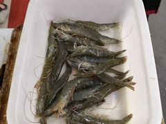 -渔民船说·北塘海鲜·天津菜·海肠捞饭(北塘古镇店)
