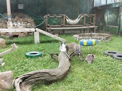 -西安秦岭野生动物园