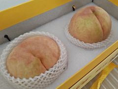 -老袁家蜜桃农场·阳山水蜜桃