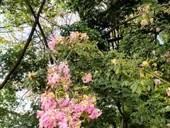 -广东金融学院(校本部)